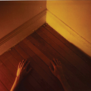 看女人逼毛最多的视频
