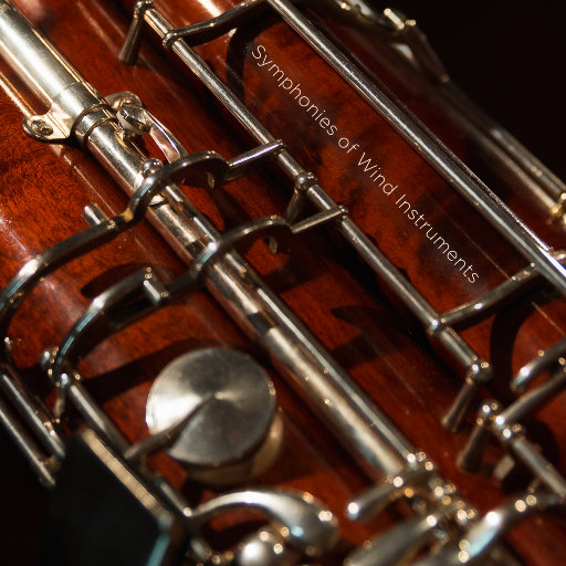 看女人逼毛最多的视频
